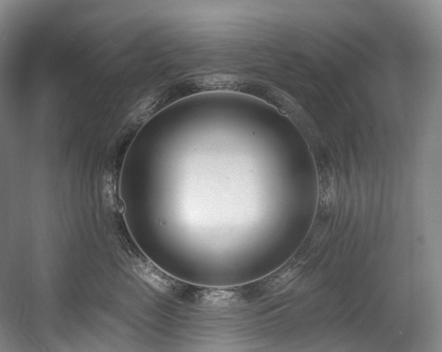 X0000058810669200509301235