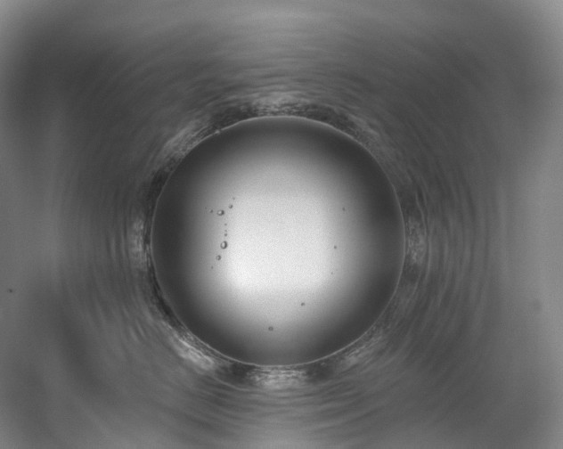 X0000058810670200509301235