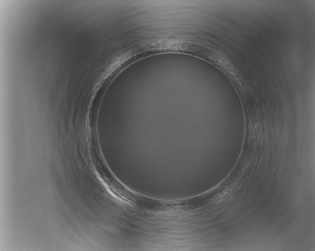 X0000058810674200509301234