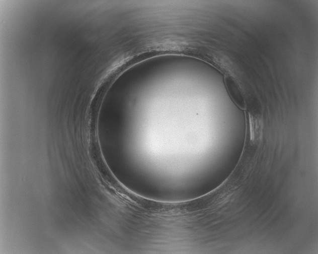 X0000058810675200509301234