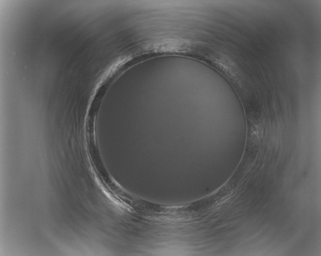 X0000058810678200509301234