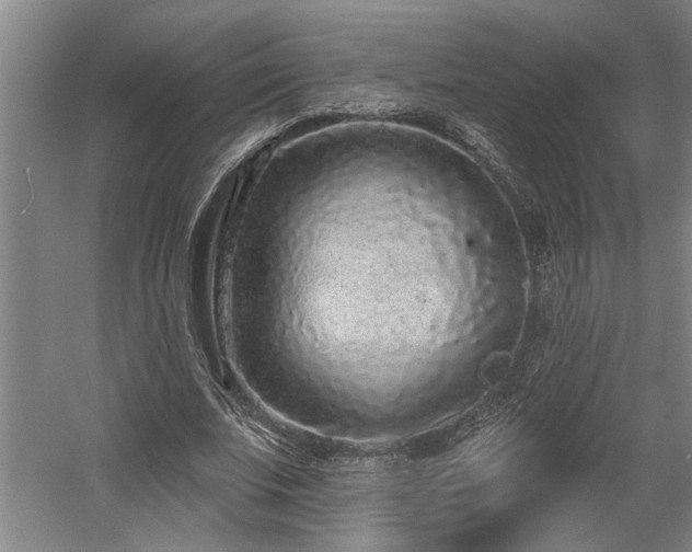 X0000058810679200509301234