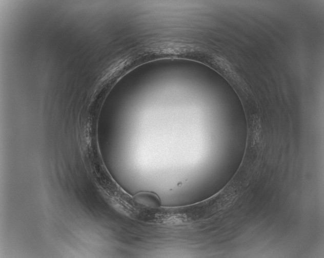 X0000058810683200509301234