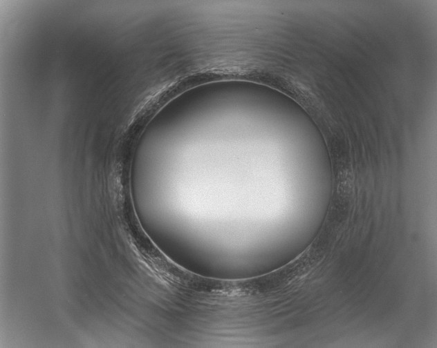 X0000058810688200509301234