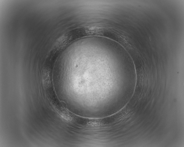 X0000058810699200509301234