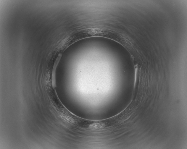 X0000058810700200509301233