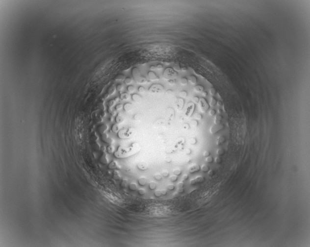 X0000058810701200509301233