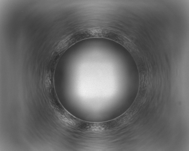 X0000058810702200509301233