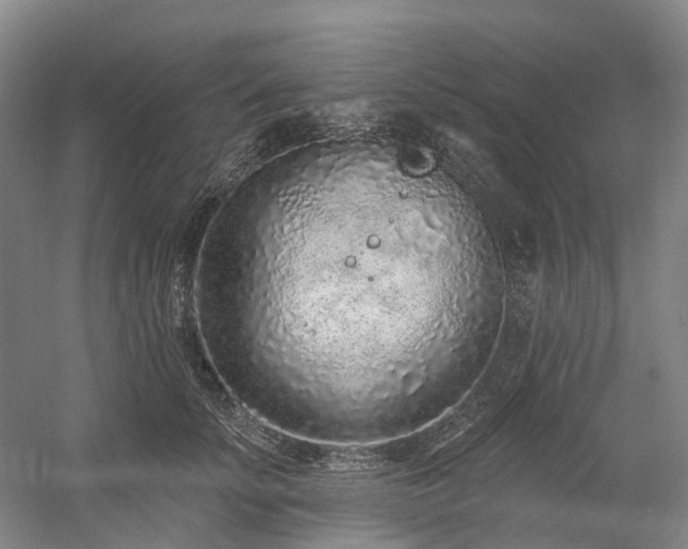 X0000058810707200509301233