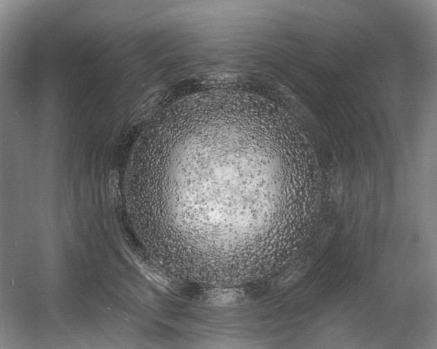 X0000058810711200509301233