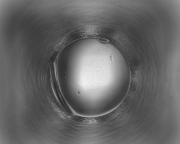 X0000058810715200509301233