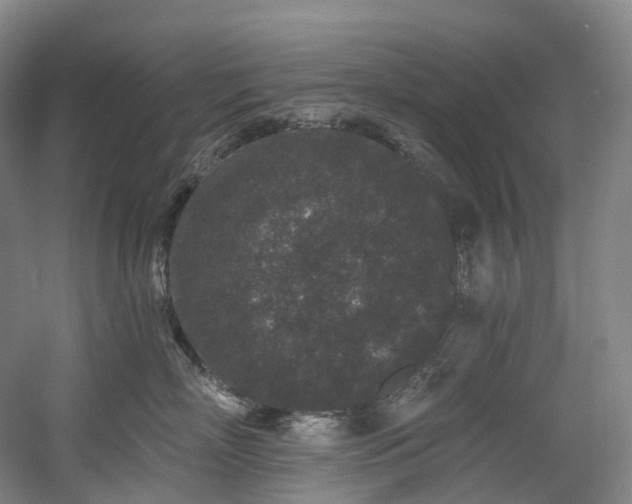 X0000058810718200509301233