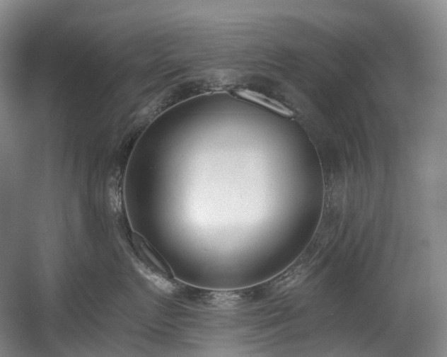 X0000058810719200509301233