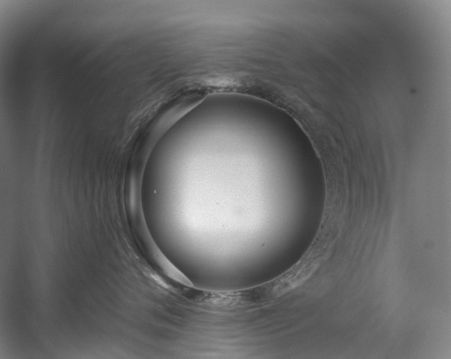 X0000058810720200509301233