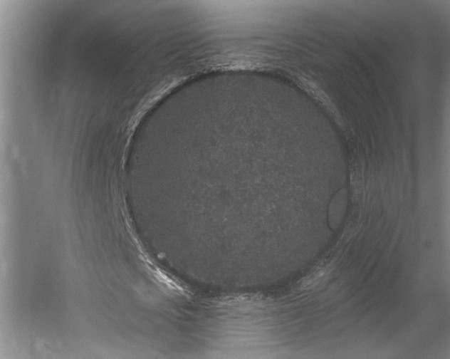 X0000058810721200509301232