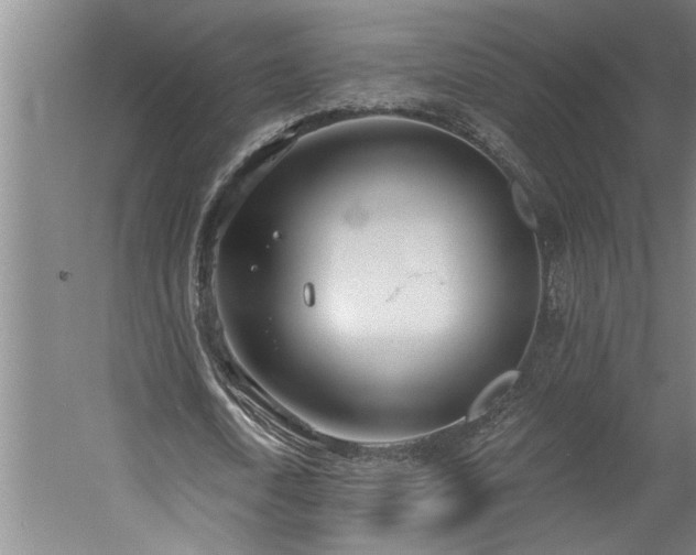 X0000058810722200509301232