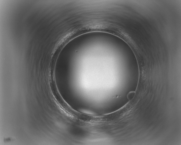 X0000058810725200509301232