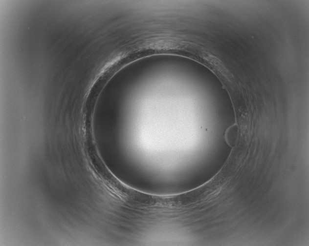 X0000058810727200509301232