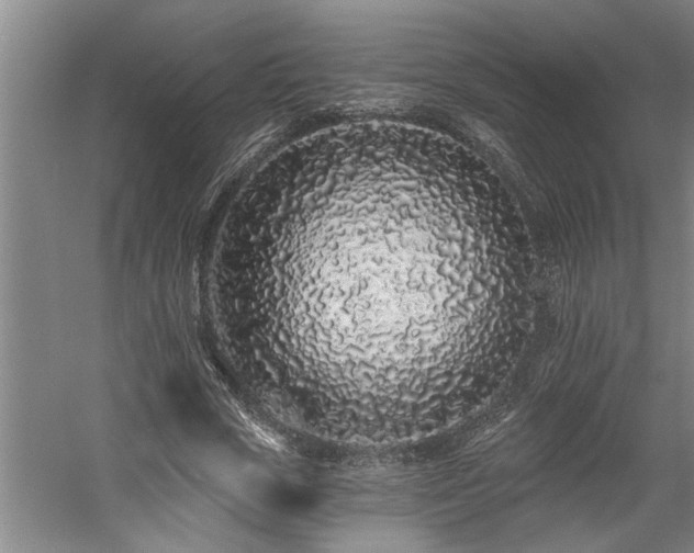 X0000058810729200509301232