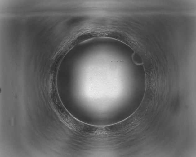 X0000058810742200509301233