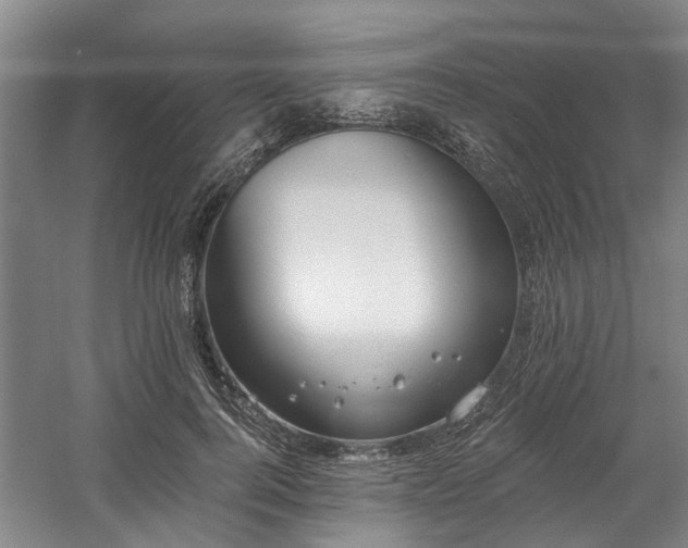 X0000058810744200509301233