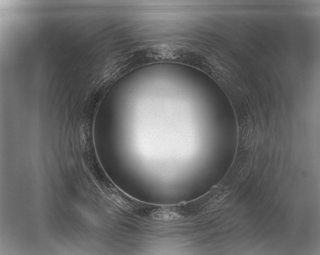 X0000058810747200509301233