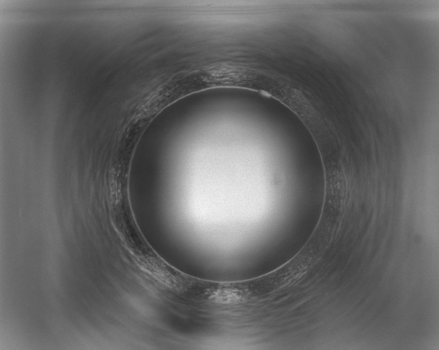 X0000058810751200509301233