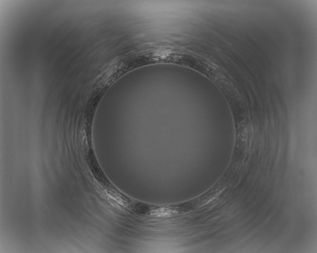 X0000058810754200509301233