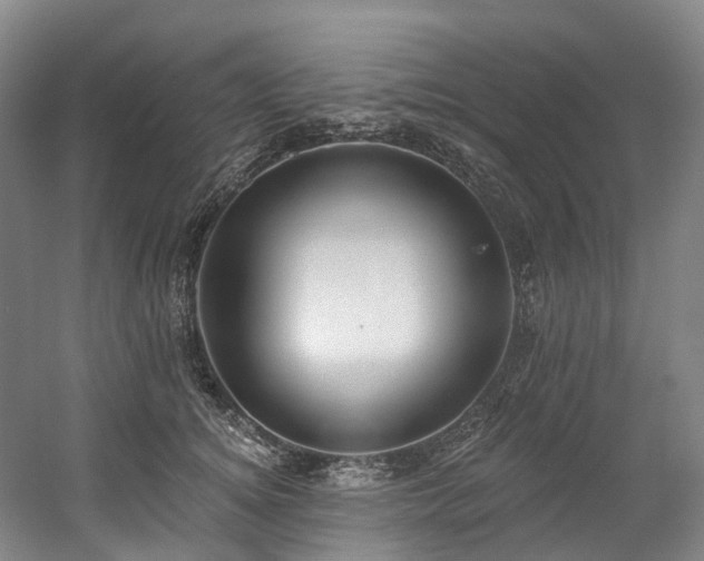 X0000058810756200509301233