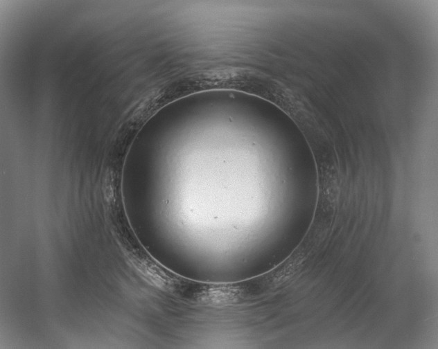 X0000058810758200509301233