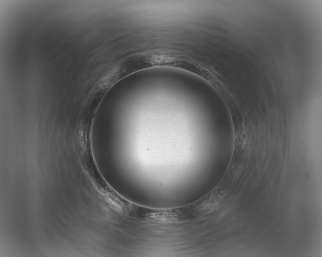 X0000058810763200509301233