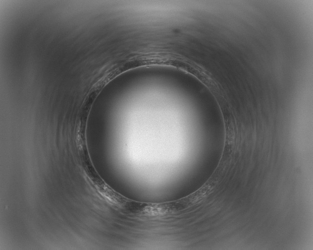 X0000058810764200509301233