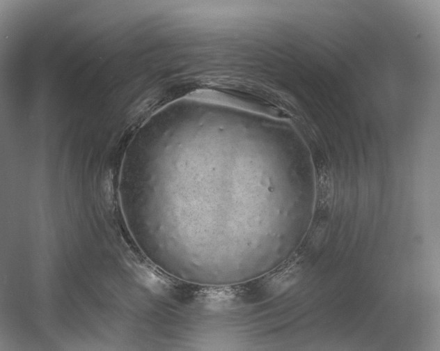 X0000058810765200509301233