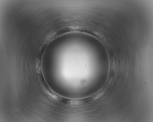 X0000058810766200509301233