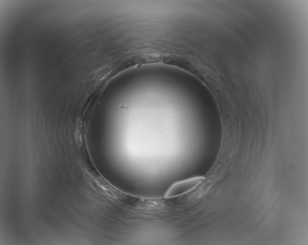 X0000058810768200509301233