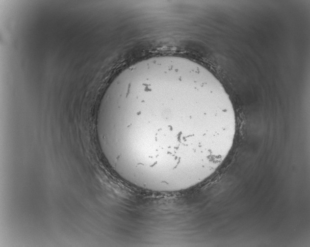 X0000058810769200509301232