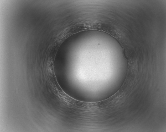 X0000058810770200509301232