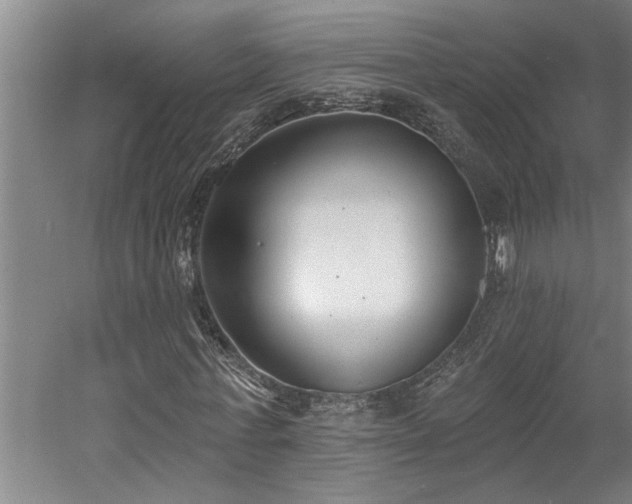 X0000058810771200509301232