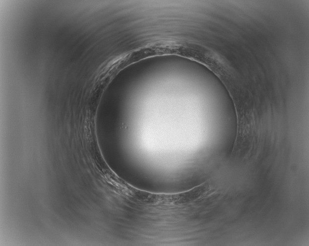 X0000058810773200509301232