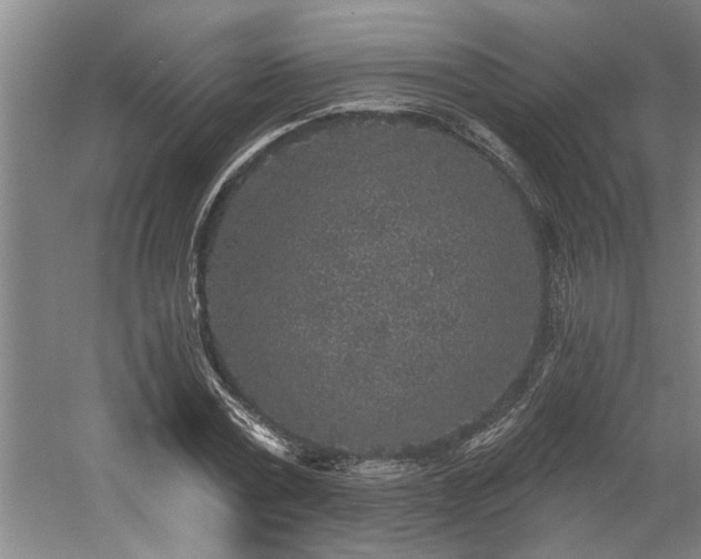 X0000058810779200509301232