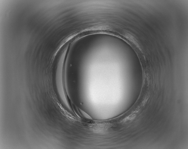 X0000058810781200509301232