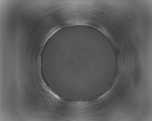 X0000058810790200509301232