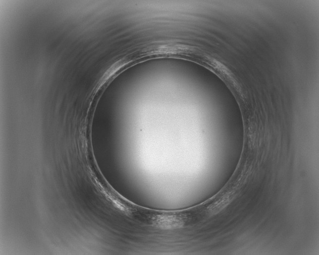 X0000058810794200509301232