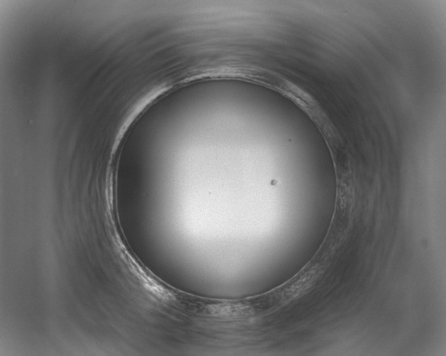 X0000058810804200509301232