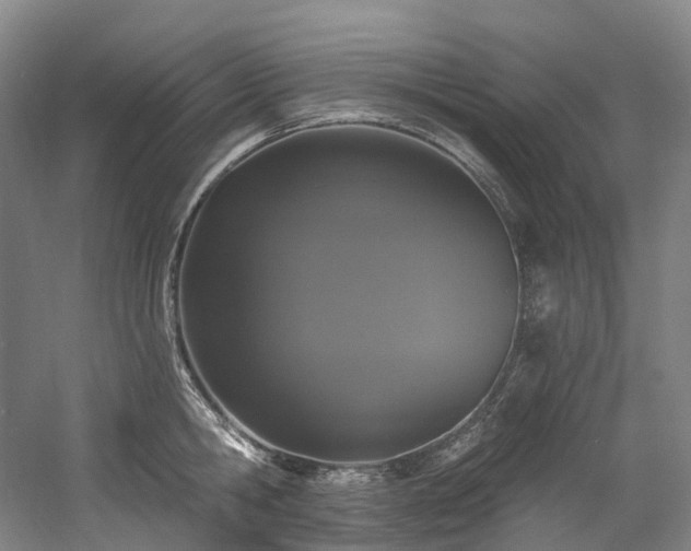 X0000058810806200509301232