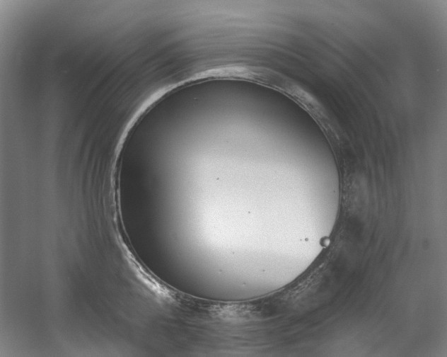 X0000058810808200509301232