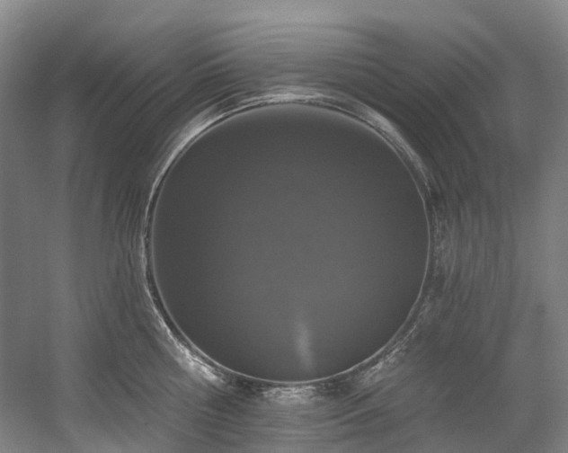 X0000058810810200509301232