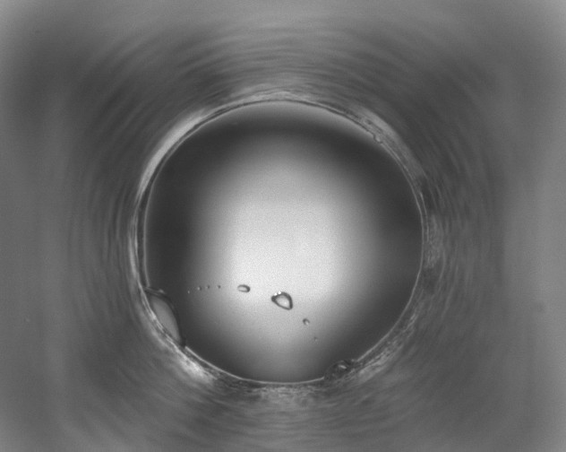 X0000058810812200509301232