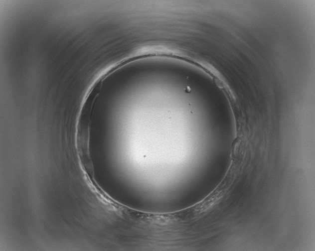 X0000058810815200509301232