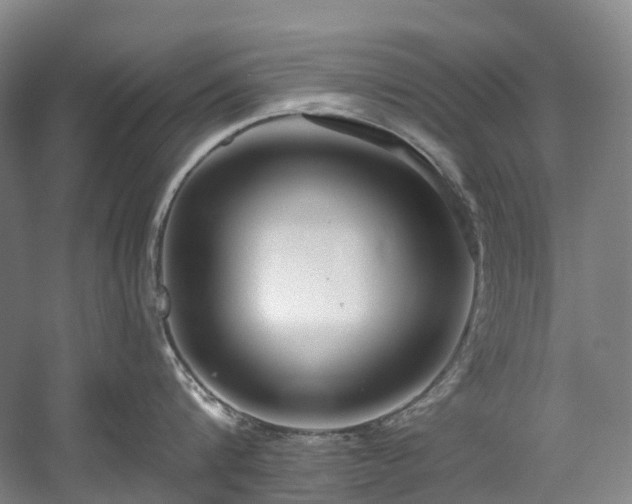 X0000058810816200509301232